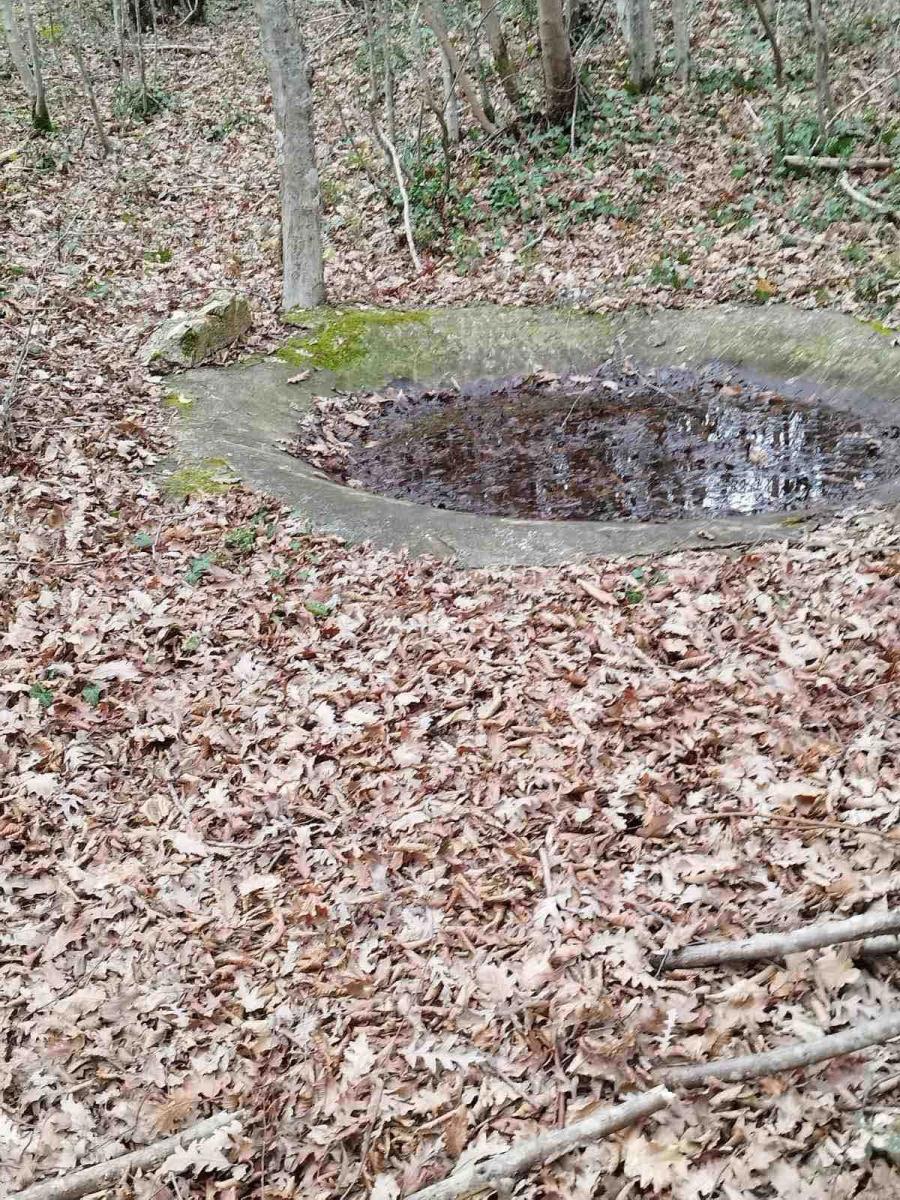 Zemljišče Barban, 11.669m2