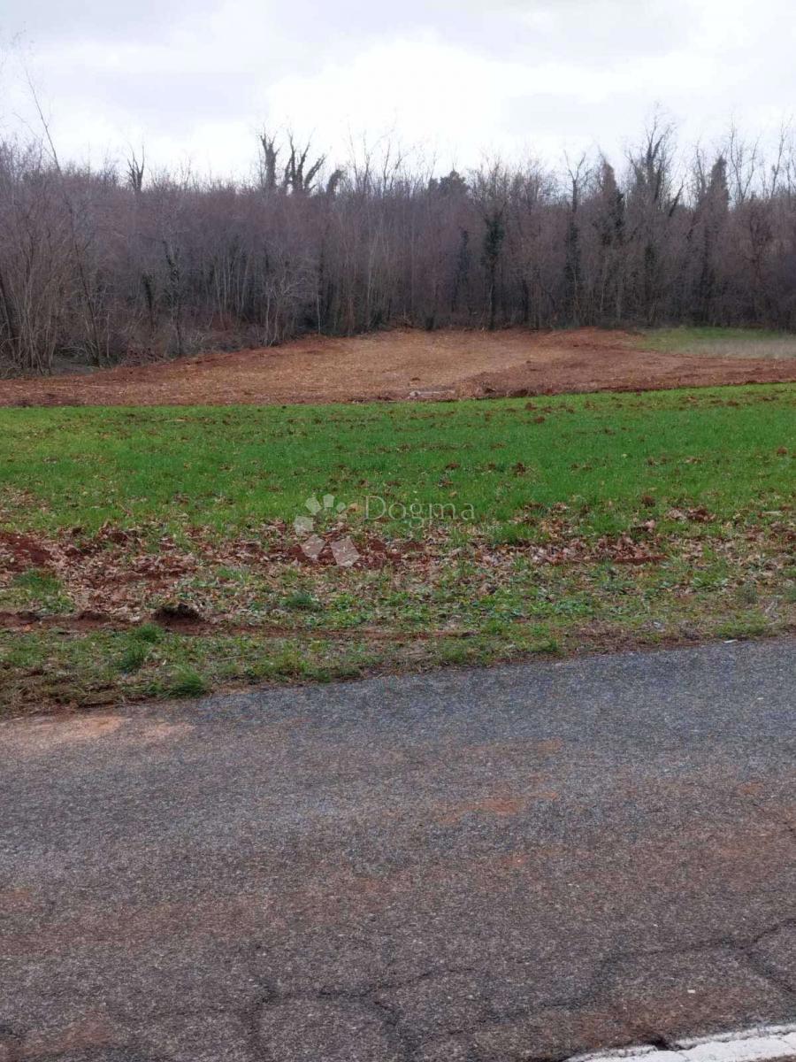 Zemljišče Barban, 11.669m2