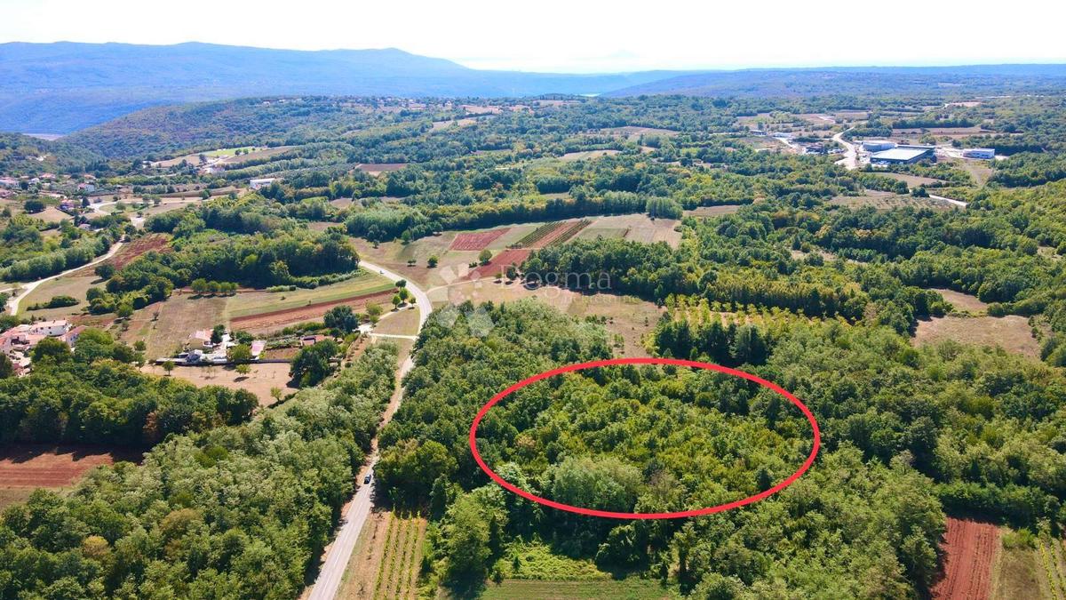 Zemljišče Barban, 11.669m2