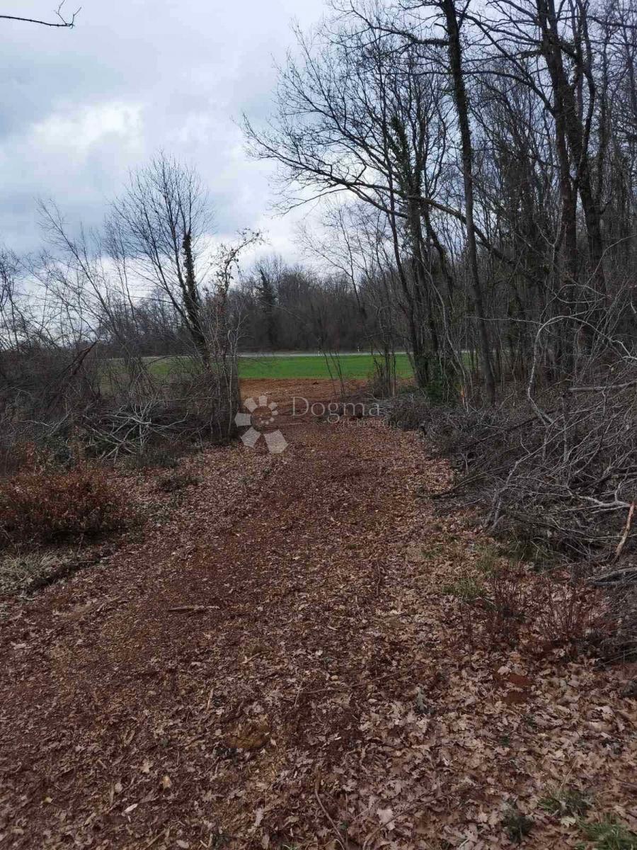 Zemljišče Barban, 11.669m2