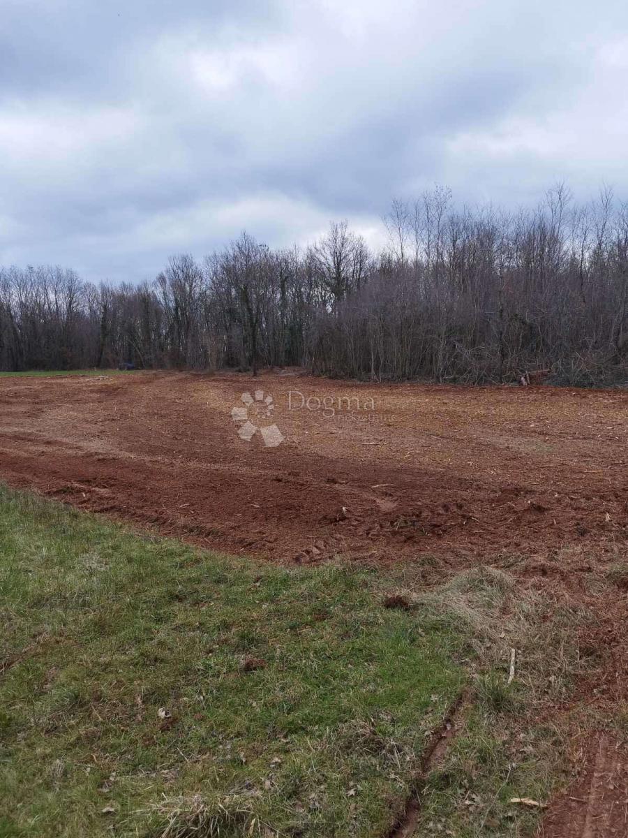 Zemljišče Barban, 11.669m2