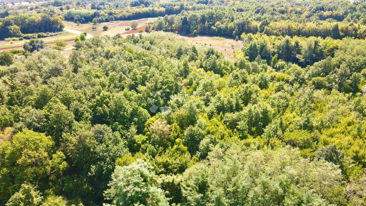 Zemljišče Barban, 11.669m2