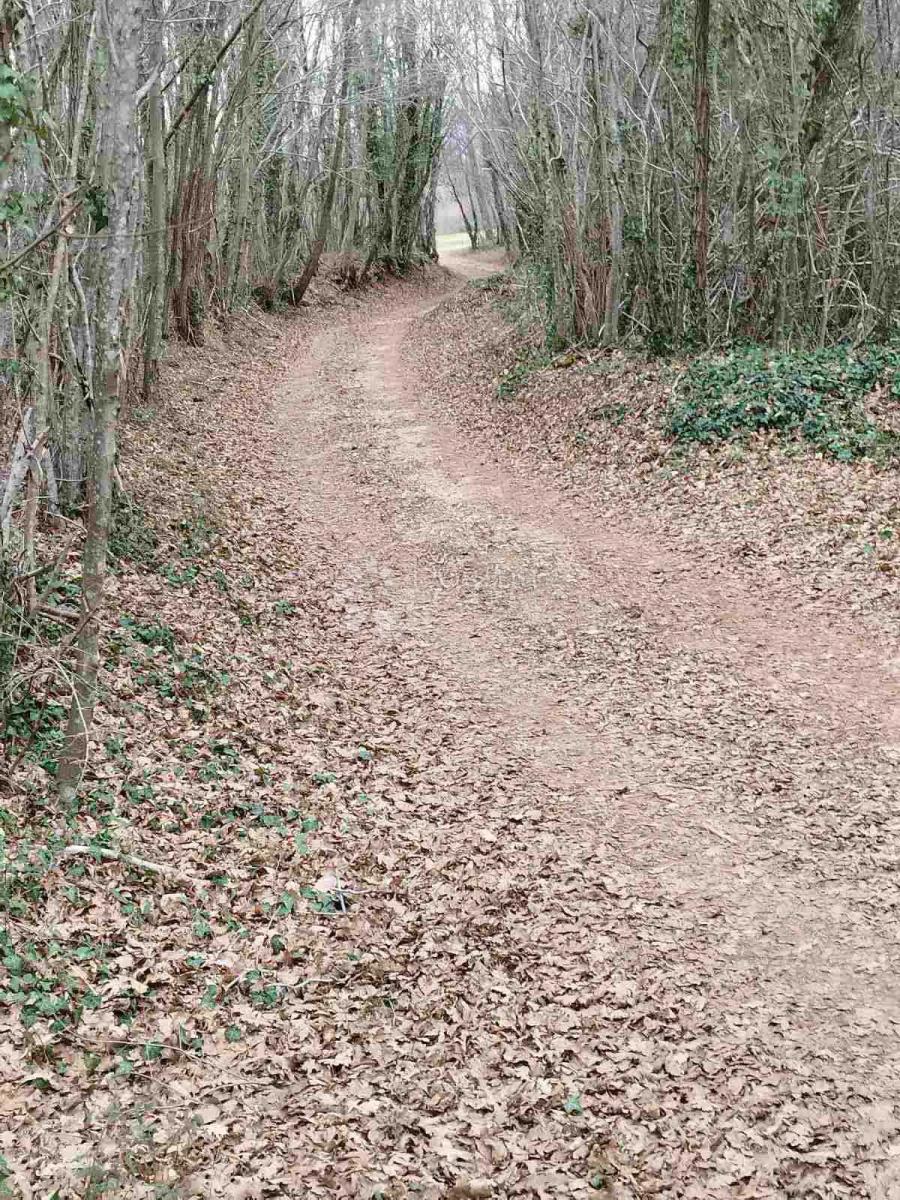 Zemljišče Barban, 11.669m2