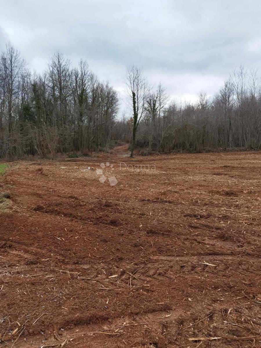 Zemljišče Barban, 11.669m2