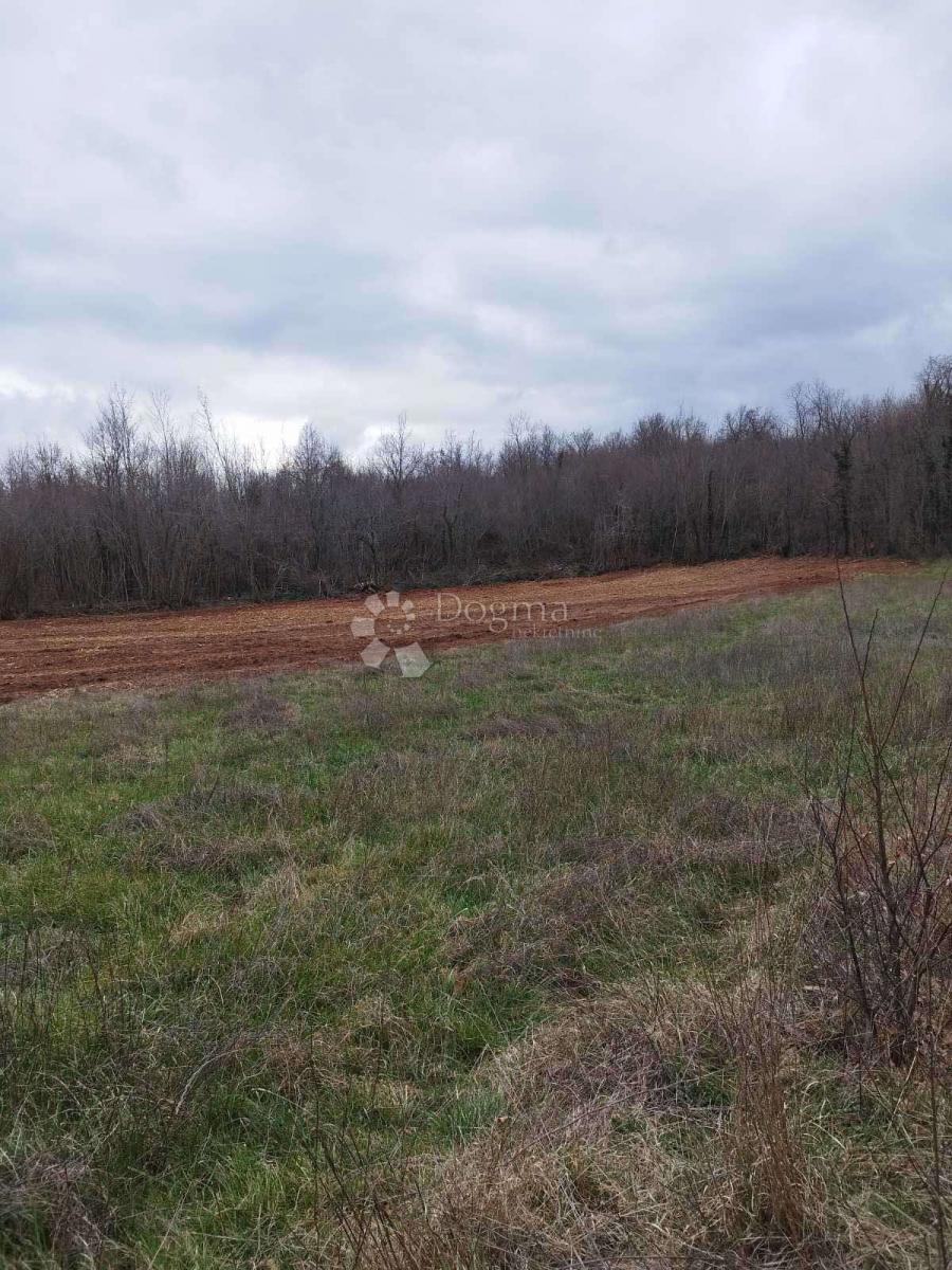 Zemljišče Barban, 11.669m2