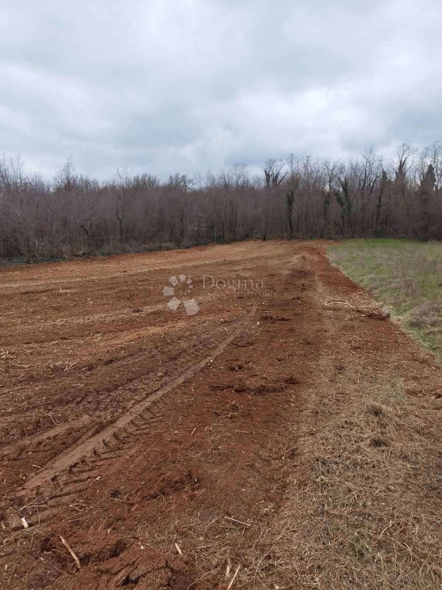 Zemljišče Barban, 11.669m2