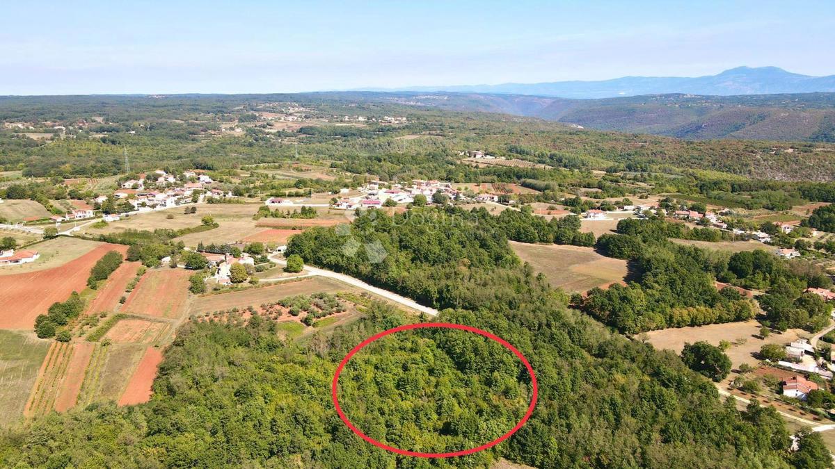 Zemljišče Barban, 11.669m2
