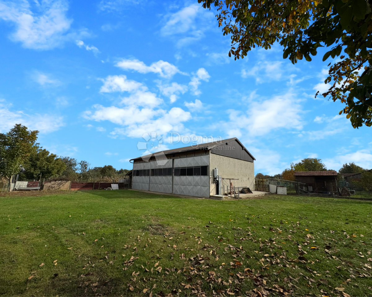 Hiša Suhopolje, 230m2