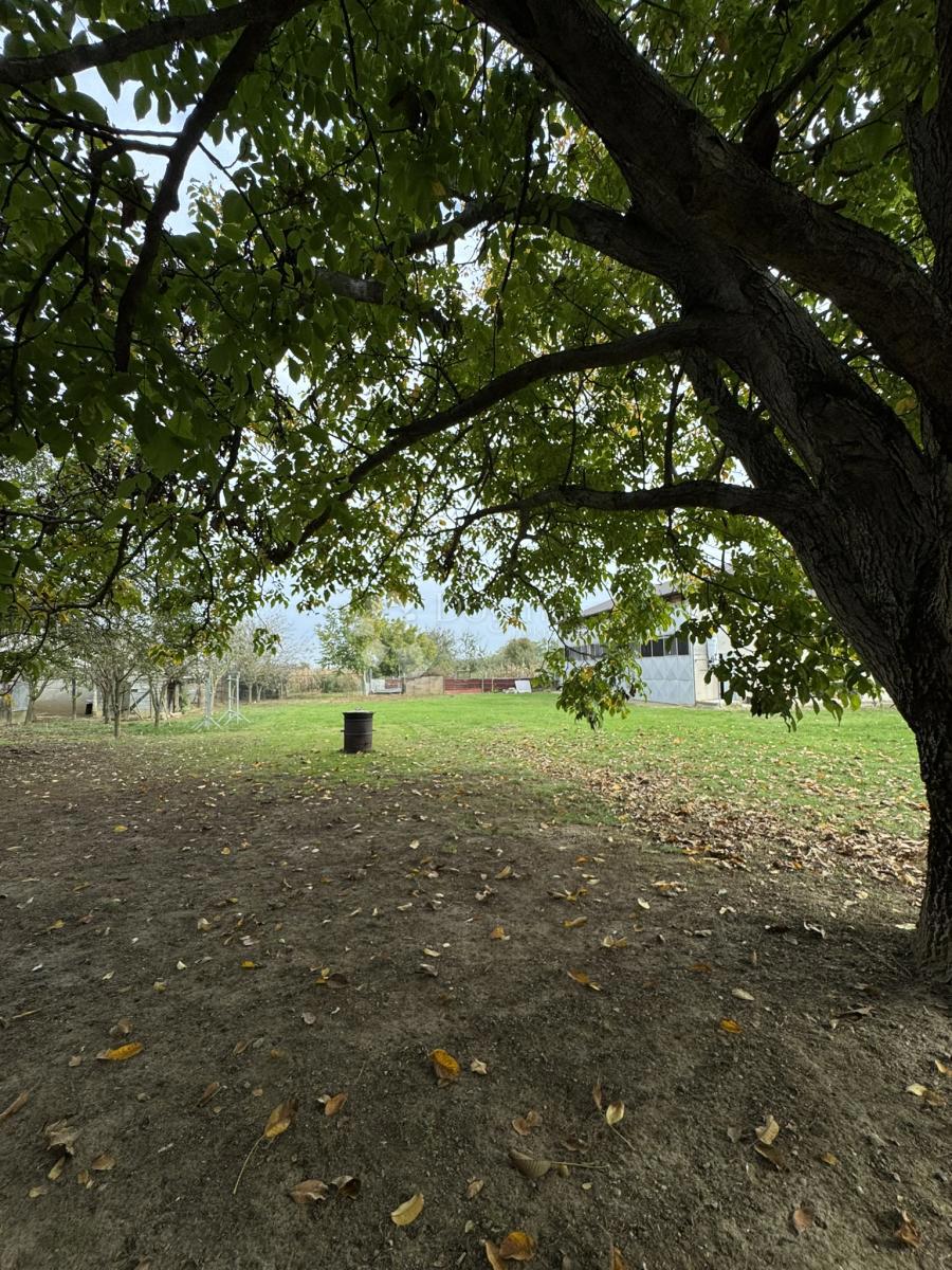 Hiša Suhopolje, 230m2