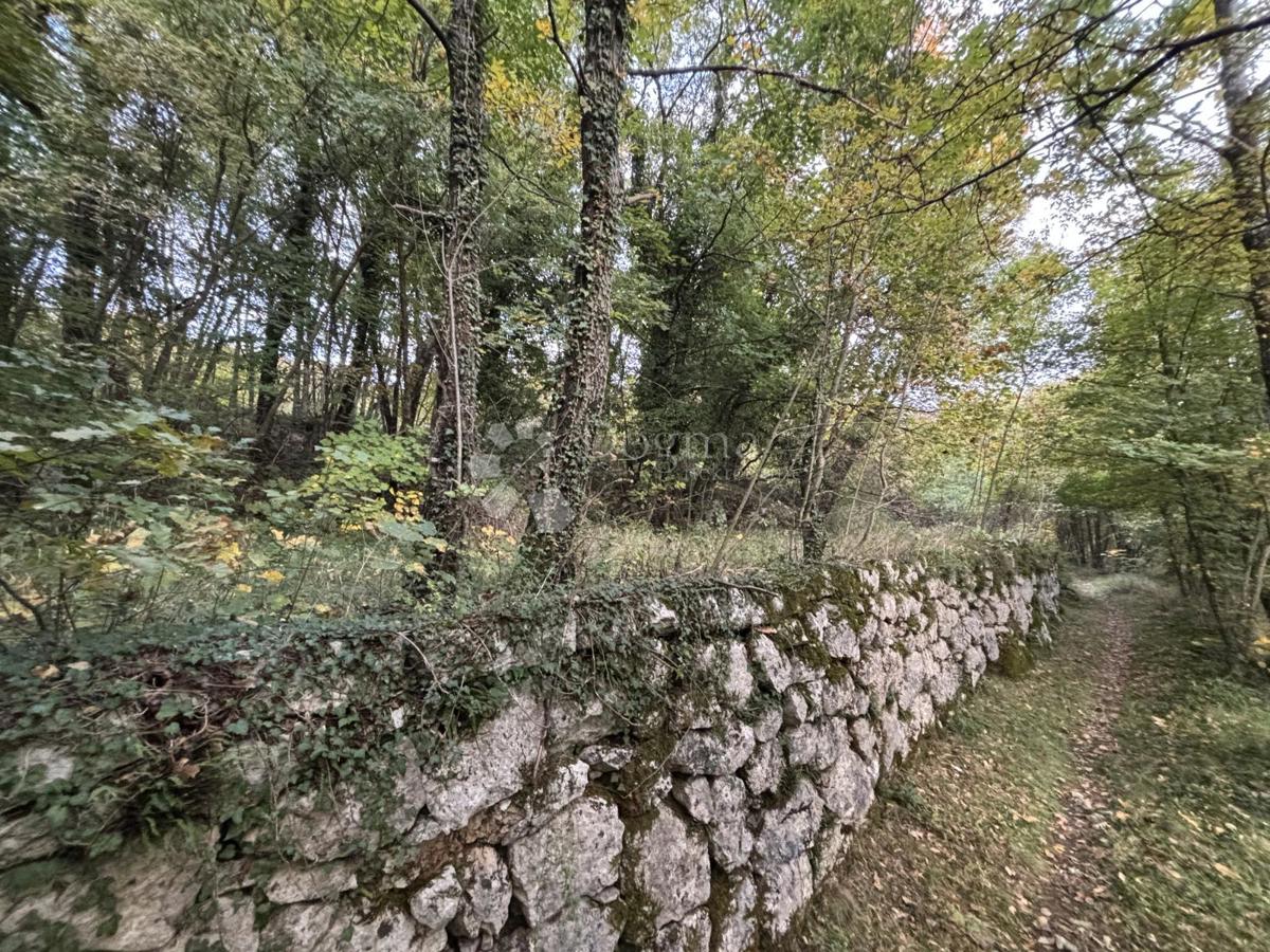 Zazidljivo zemljišče Veprinac, Opatija - Okolica, 1.205m2