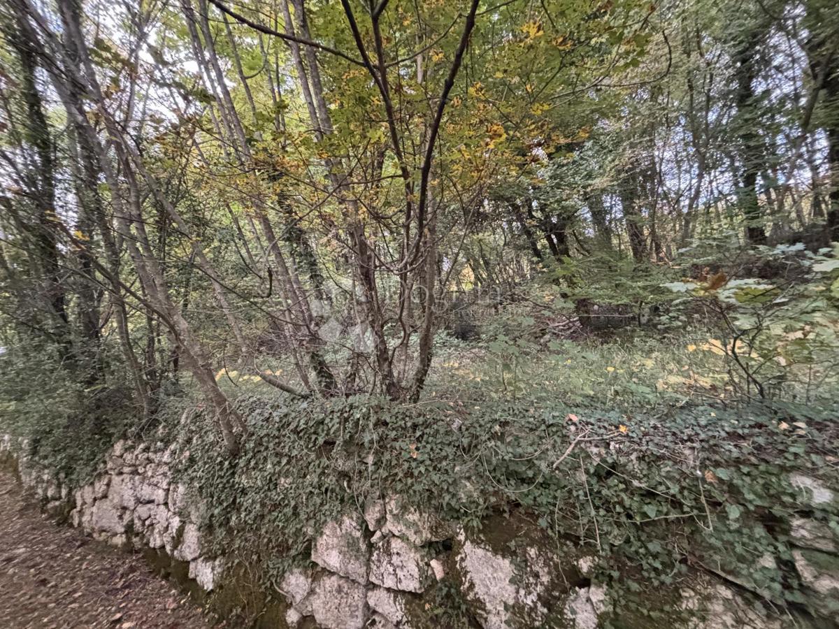 Zazidljivo zemljišče Veprinac, Opatija - Okolica, 1.205m2