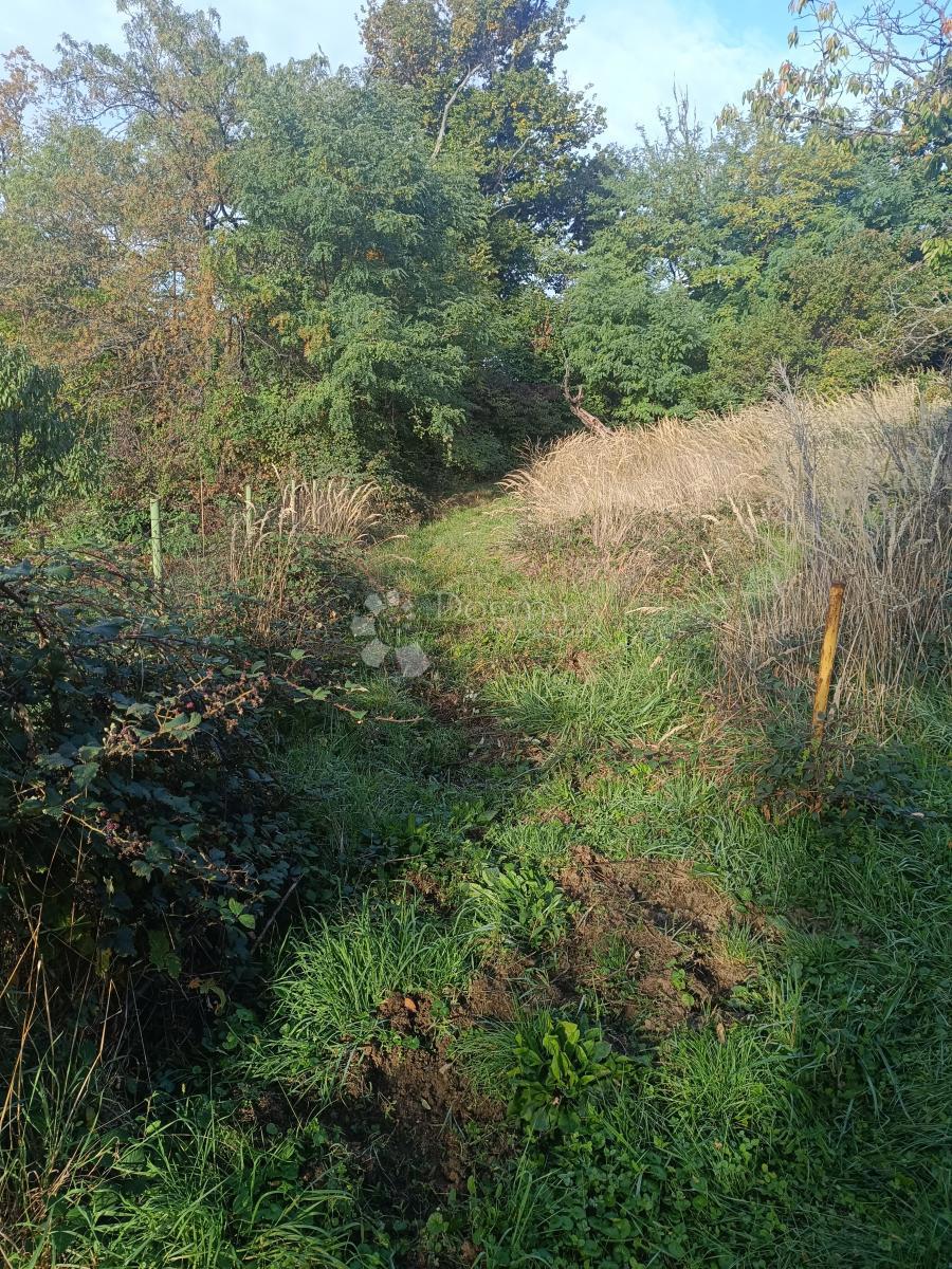 Kmetijsko zemljišče Markuševec, Podsljeme, 2.343m2