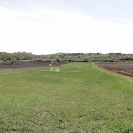 Kmetijsko zemljišče Flengi, Sveti Lovreč, 8.440m2