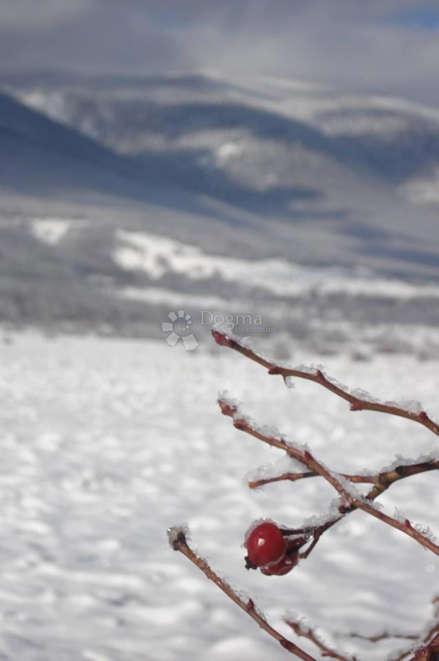 Kmetijsko zemljišče Kestenovac, Donji Lapac, 3.776m2