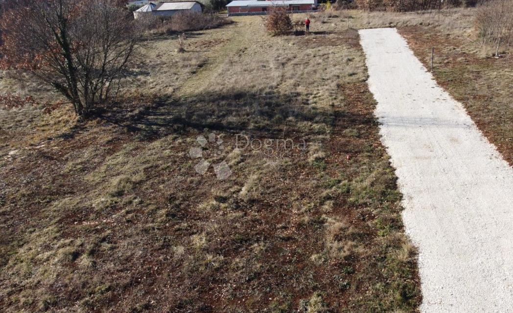 Tinjan - Stavba 600 m² + kmetijsko zemljišče 134 m², odlična priložnost