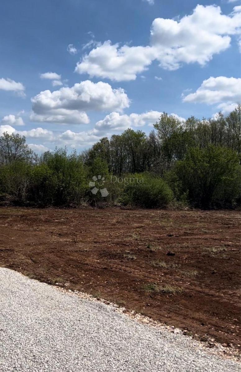 Tinjan - Stavba 600 m² + kmetijsko zemljišče 134 m², odlična priložnost