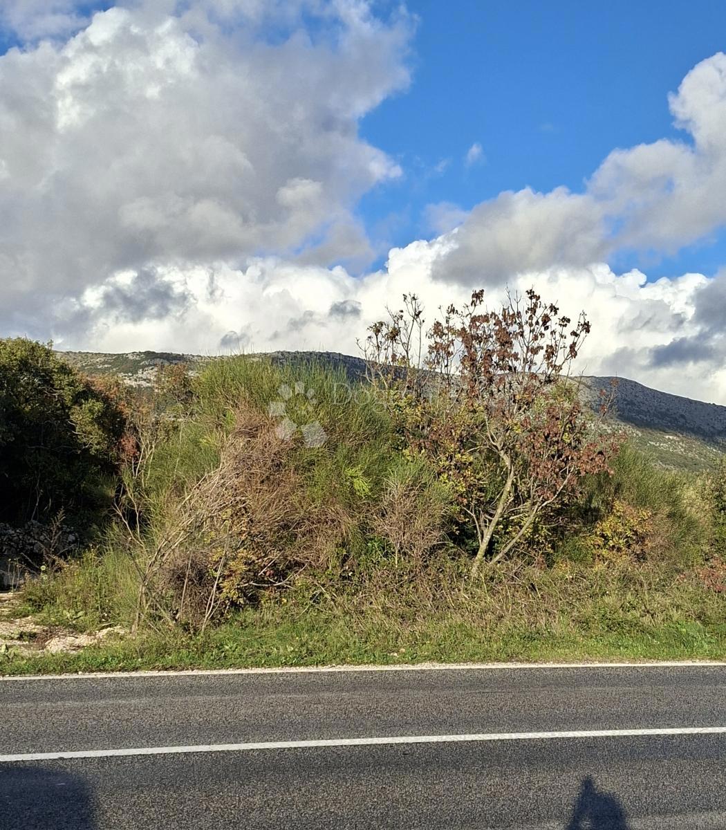 Kmetijsko zemljišče Močići, Konavle, 5.563m2