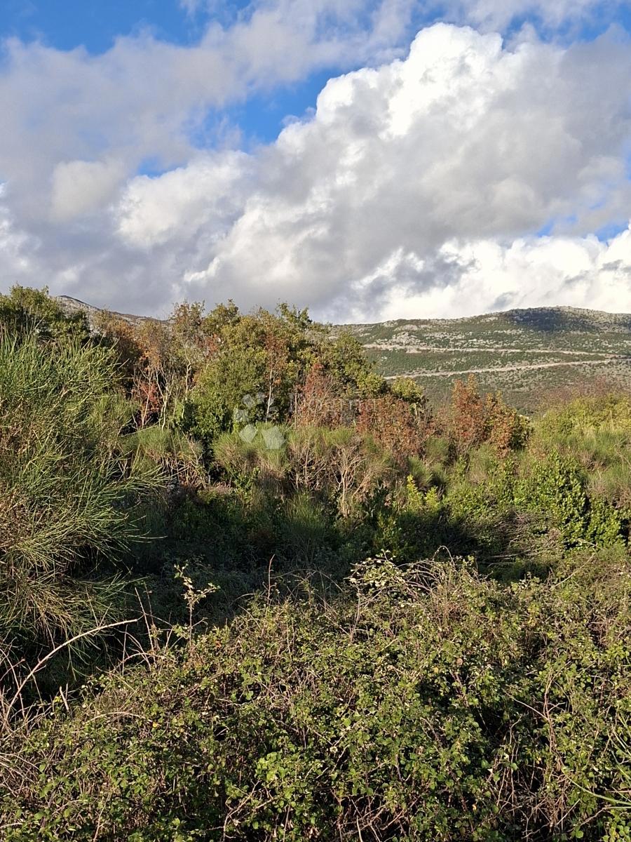 Kmetijsko zemljišče Močići, Konavle, 5.563m2