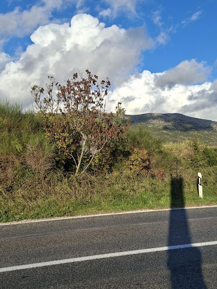 Kmetijsko zemljišče Močići, Konavle, 5.563m2