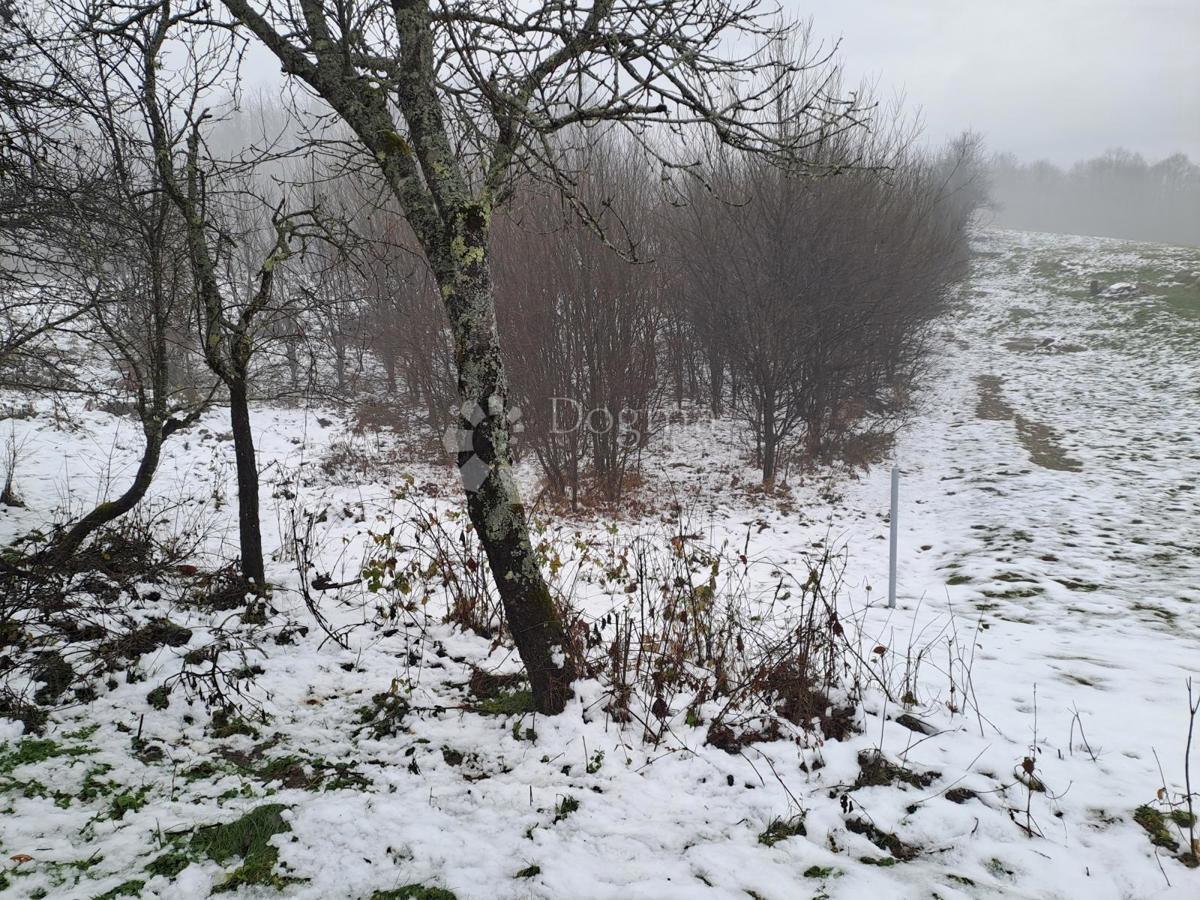 Hiša Lipa, Generalski Stol, 78m2