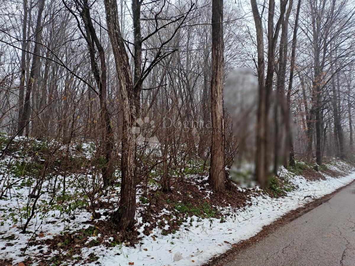 Hiša Lipa, Generalski Stol, 78m2