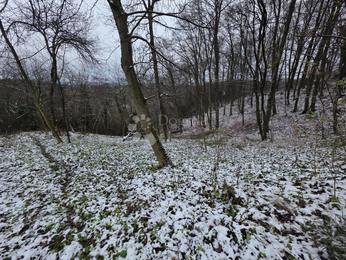Zazidljivo zemljišče Selno, Krapinske Toplice, 2.487m2