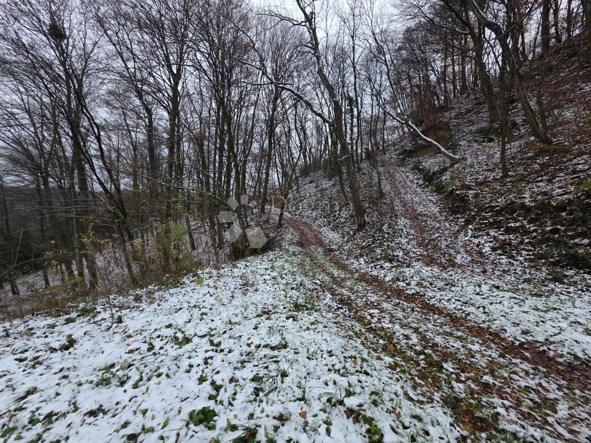 Zazidljivo zemljišče Selno, Krapinske Toplice, 2.487m2