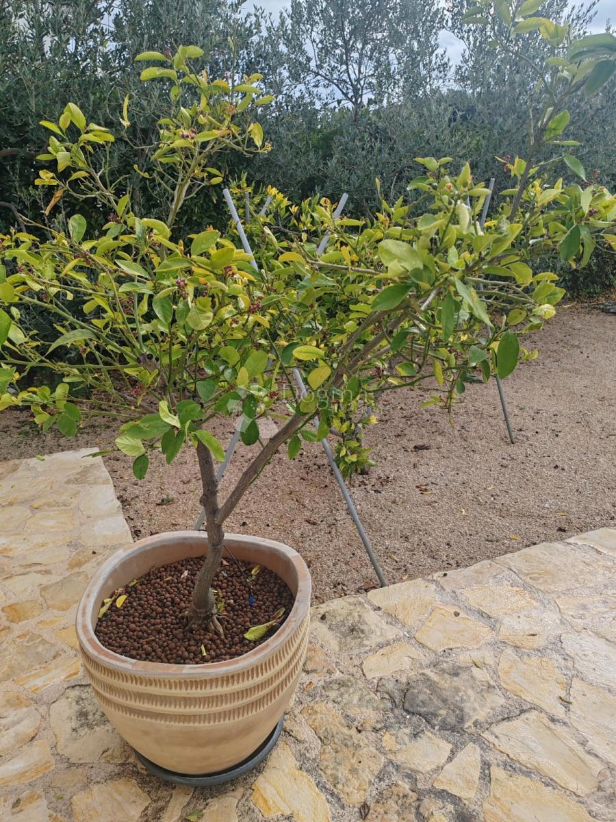 Hiša Bogdanovići, Šibenik - Okolica, 81m2