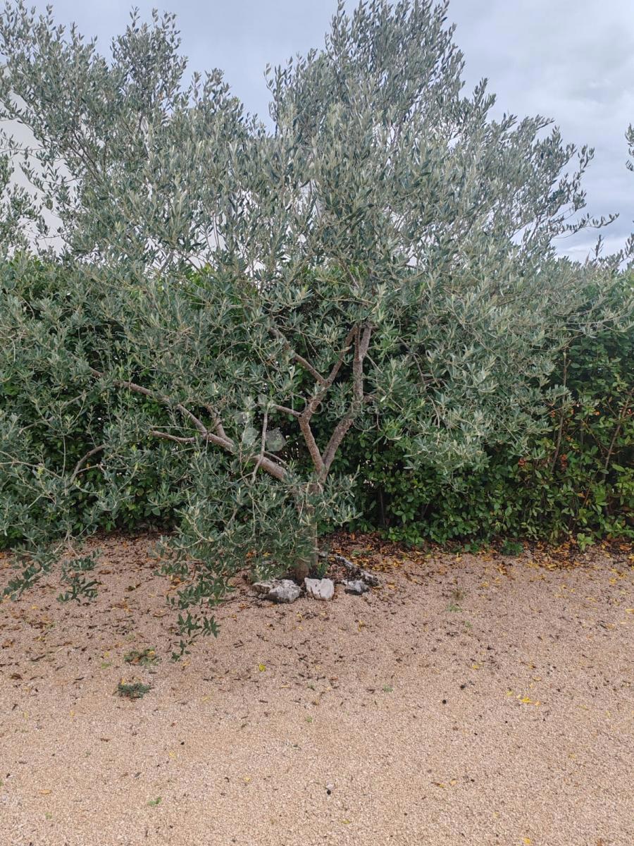 Hiša Bogdanovići, Šibenik - Okolica, 81m2