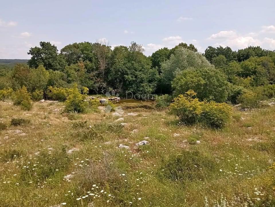 Kmetijsko zemljišče Čabrunići, Svetvinčenat, 1.315m2