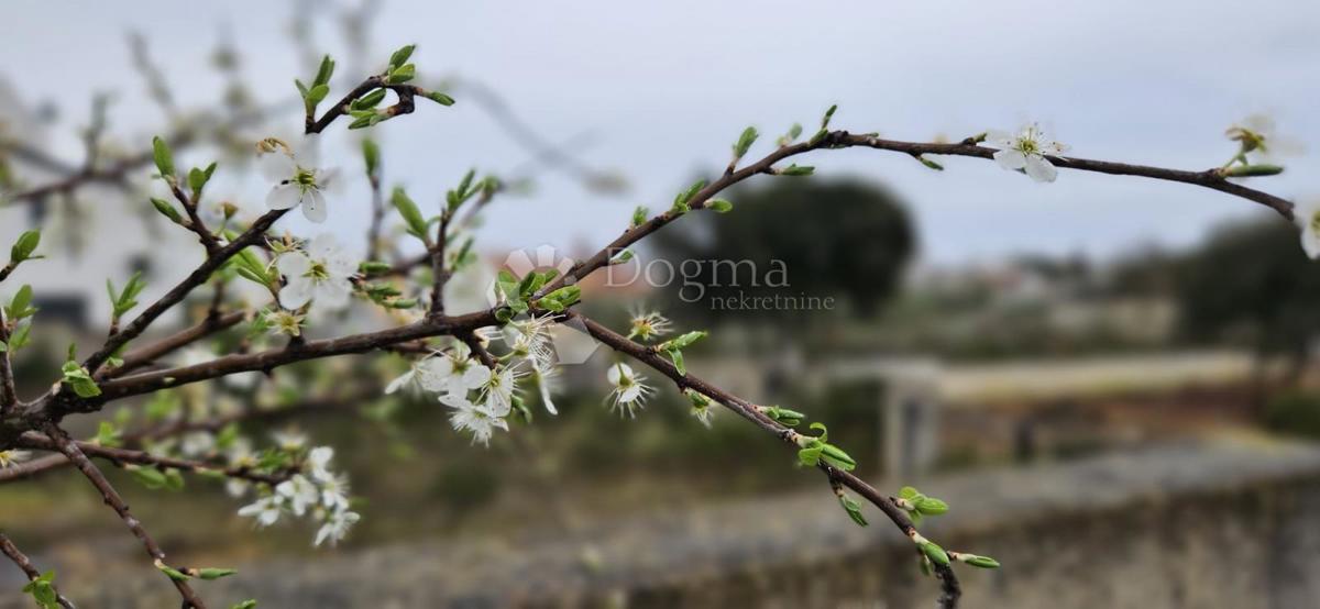 Zazidljivo zemljišče Barbariga, Vodnjan, 534m2