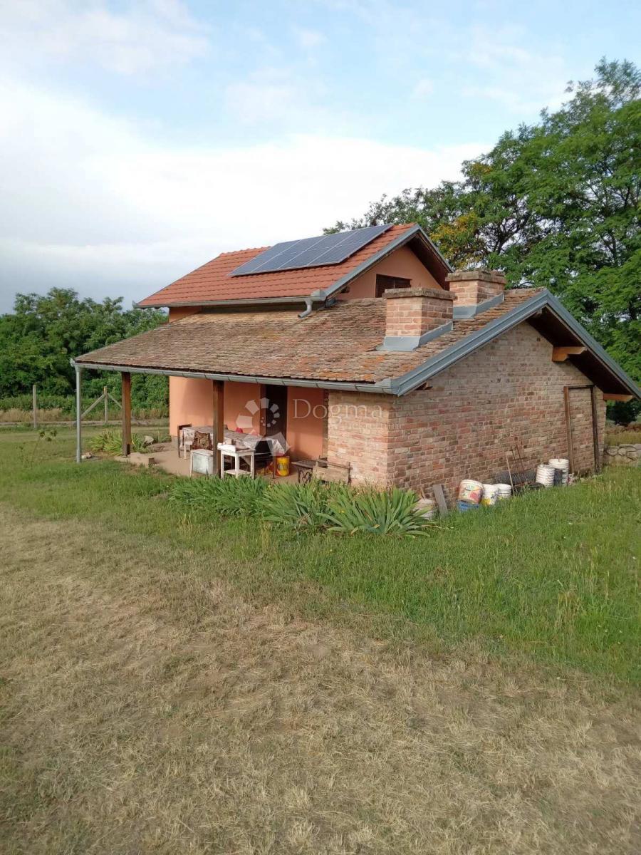 Kmetijsko zemljišče Branjin Vrh, Beli Manastir, 45.407m2