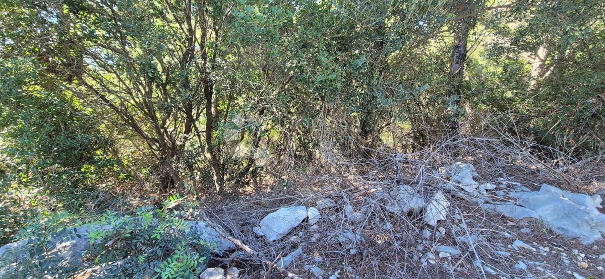 Kmetijsko zemljišče Potomje, Orebić, 4.500m2