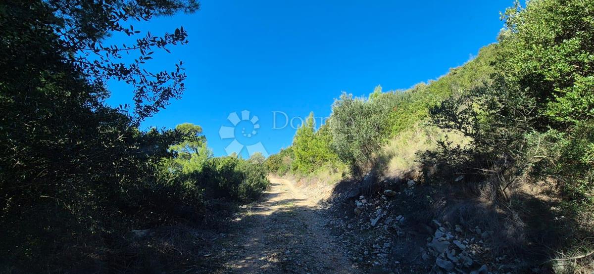 Kmetijsko zemljišče Potomje, Orebić, 4.500m2