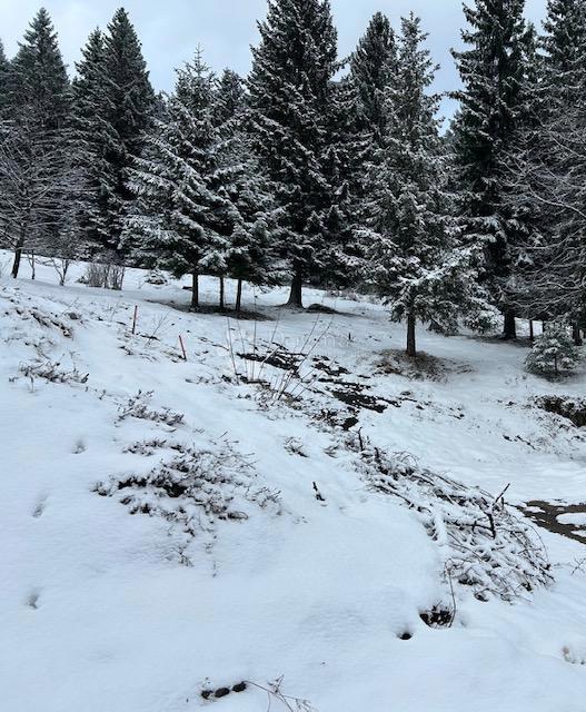 Zazidljivo zemljišče Ravna Gora, 847m2