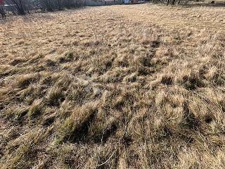 Zazidljivo zemljišče Dražice, Jelenje, 796m2