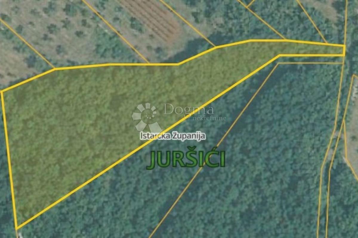 Kmetijsko zemljišče Juršići, Svetvinčenat, 5.478m2