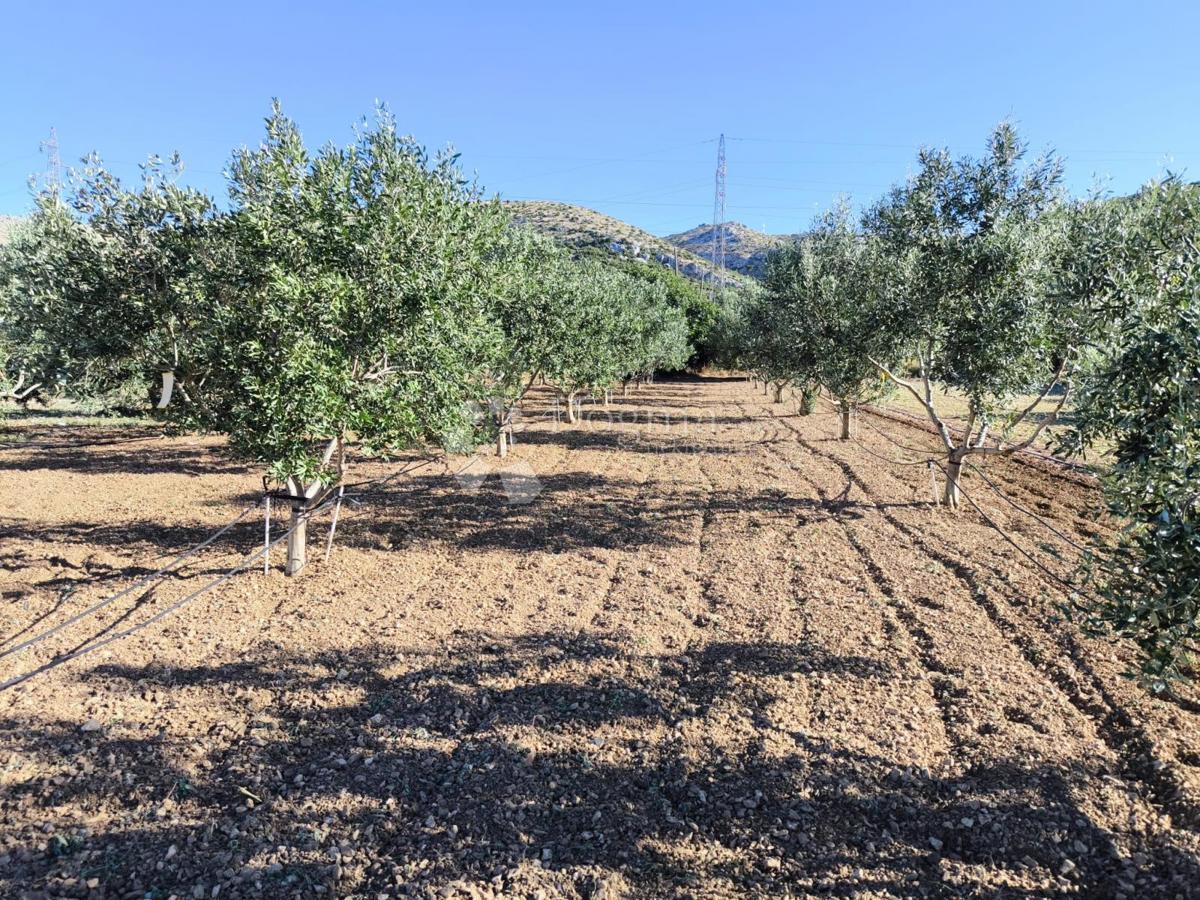 Kmetijsko zemljišče Trogir, 945m2