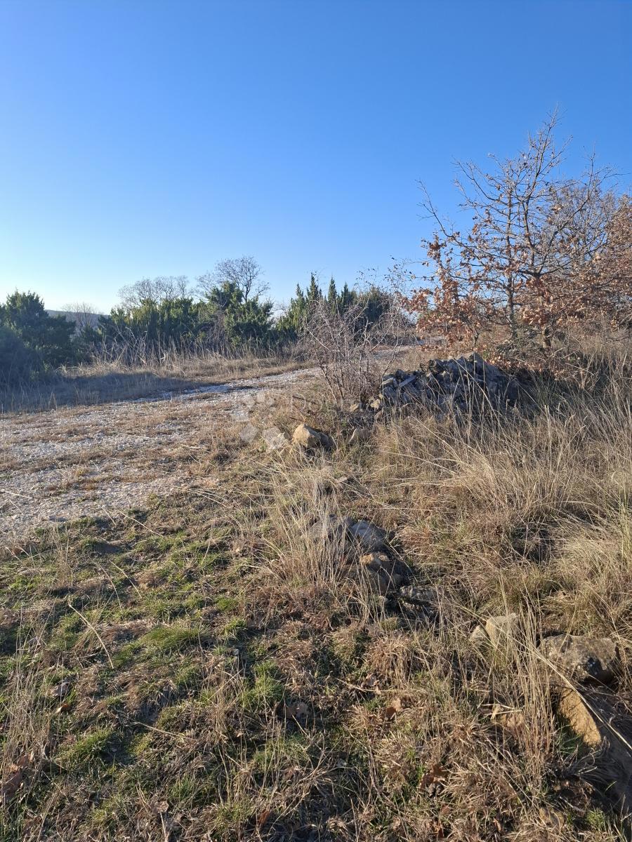 Kmetijsko zemljišče Jovići, Ražanac, 2.500m2