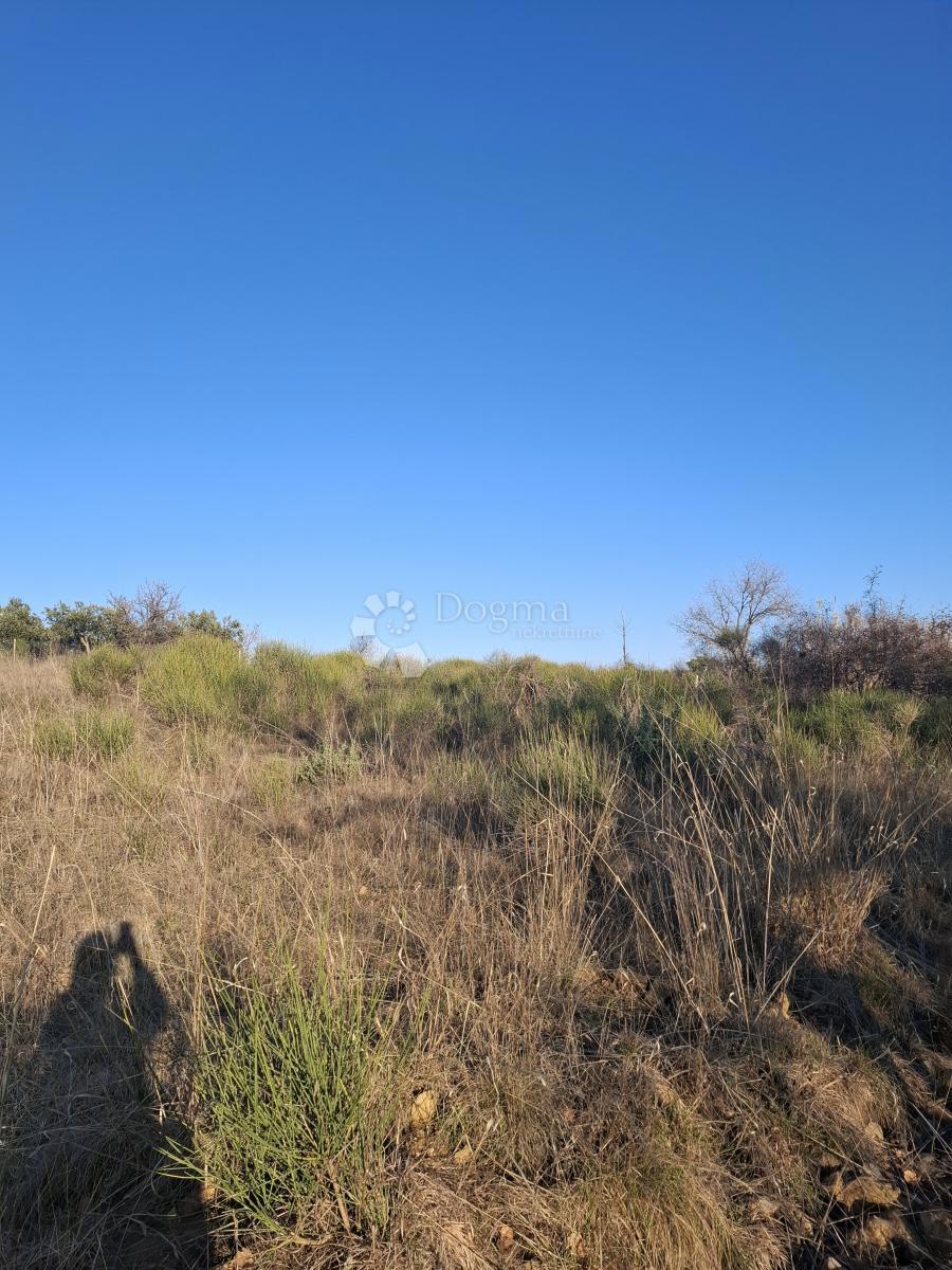 Kmetijsko zemljišče Jovići, Ražanac, 2.500m2