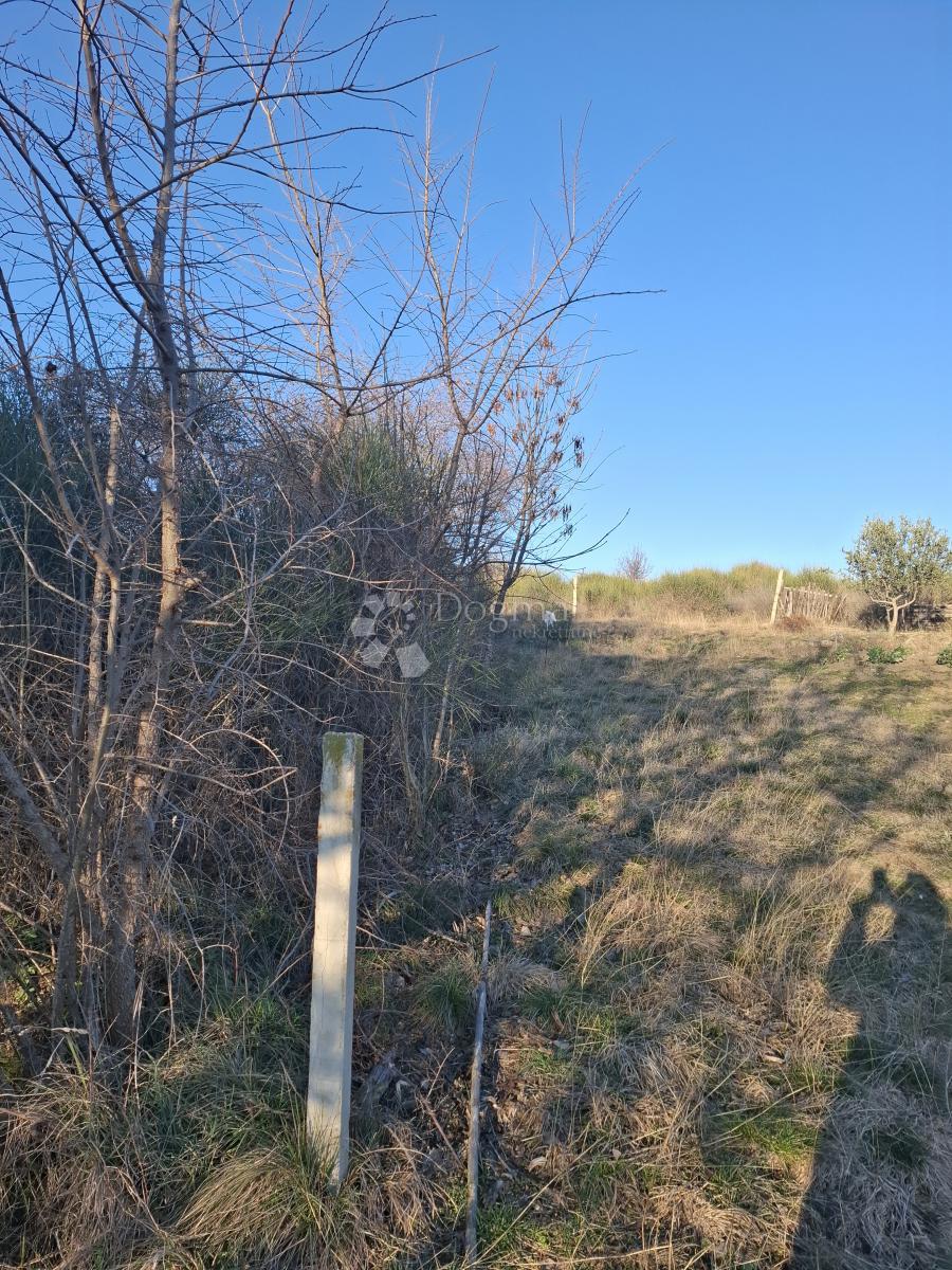 Kmetijsko zemljišče Jovići, Ražanac, 2.500m2