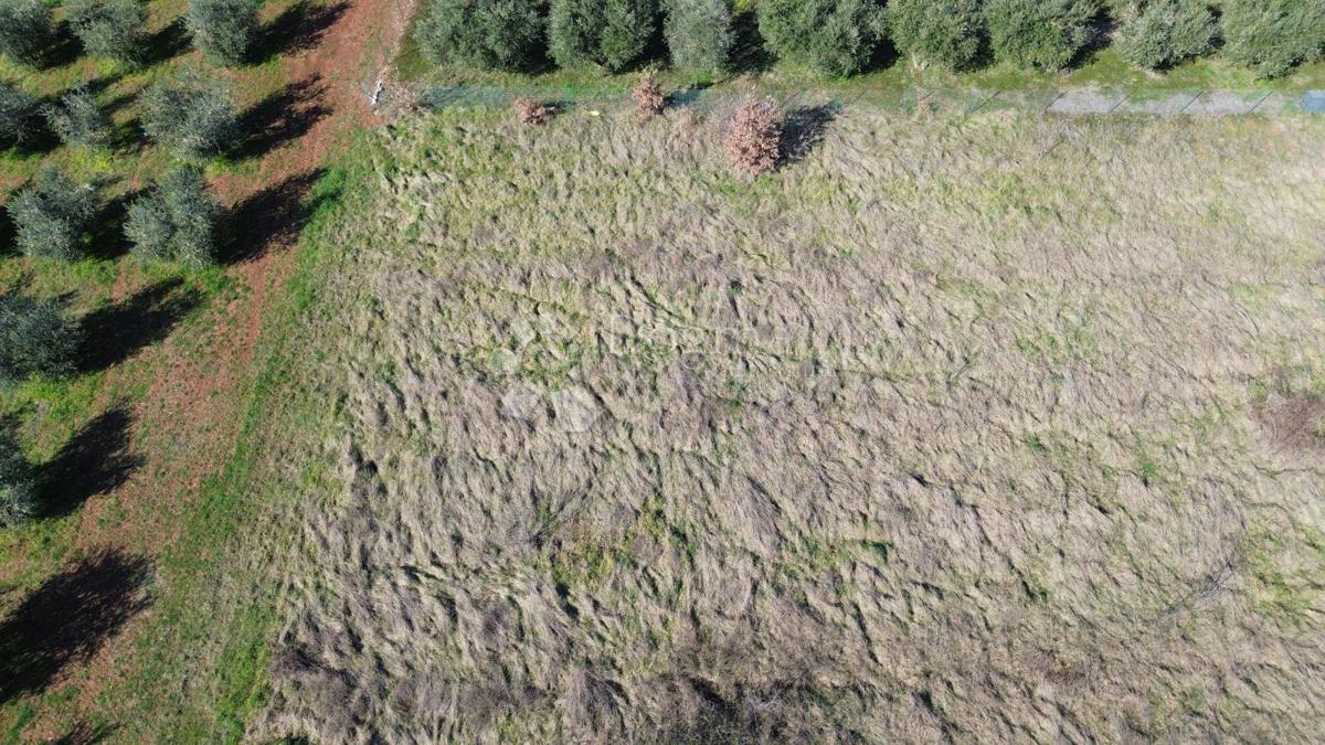 Zazidljivo zemljišče Kaštelir, Kaštelir-Labinci, 599m2