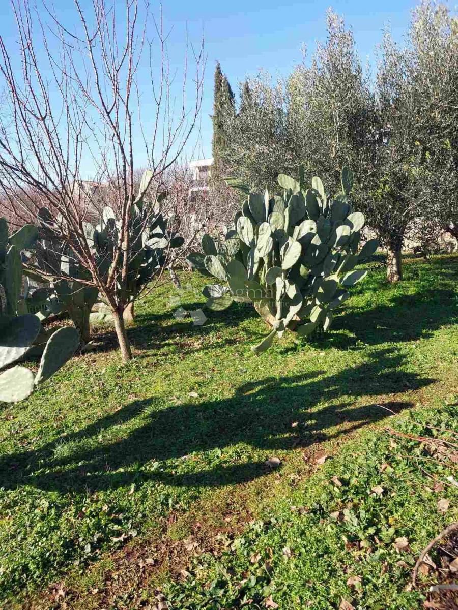 Hiša Smoljanci, Svetvinčenat, 198m2