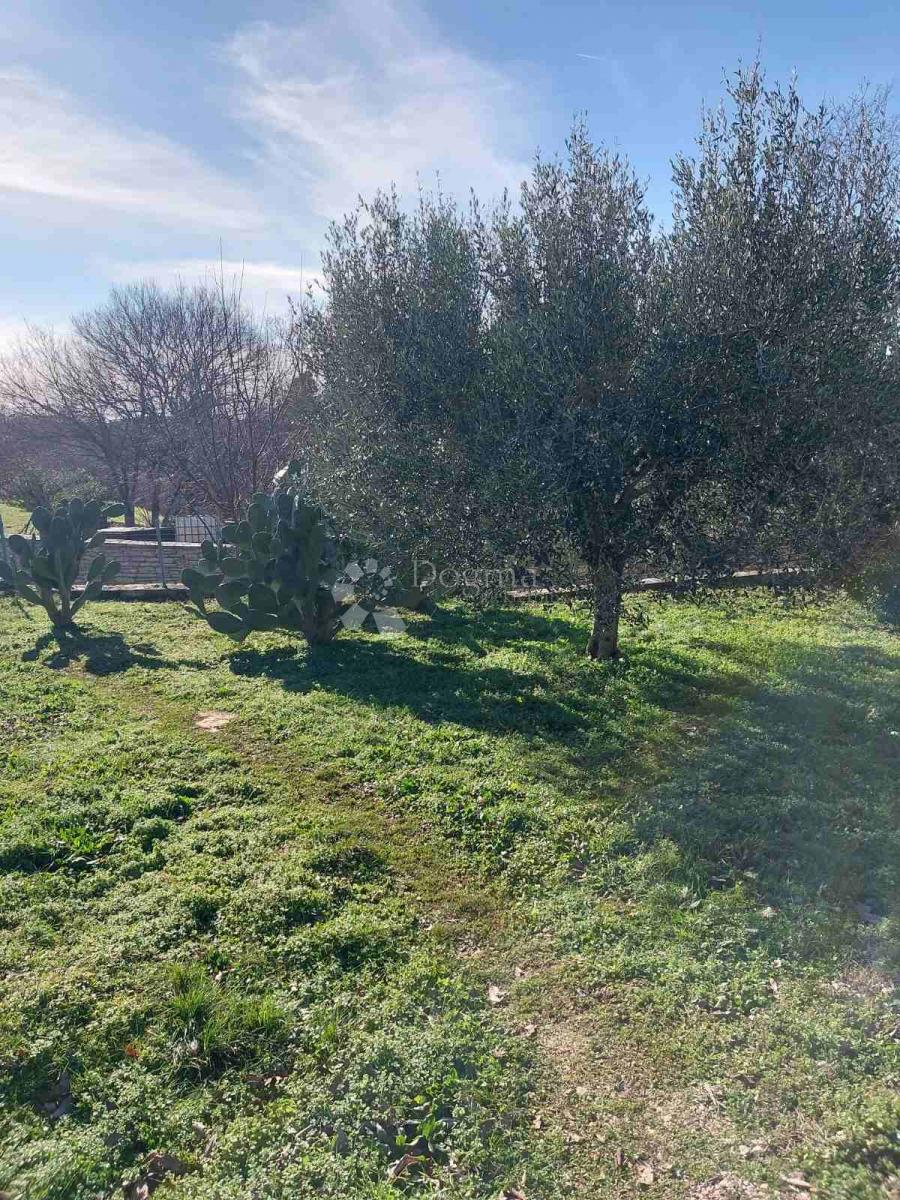 Hiša Smoljanci, Svetvinčenat, 198m2