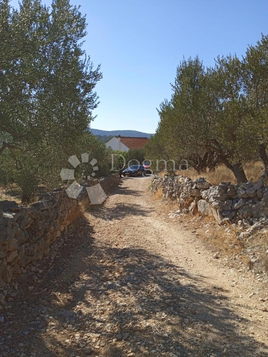 Zemljišče Marina, 4.704m2