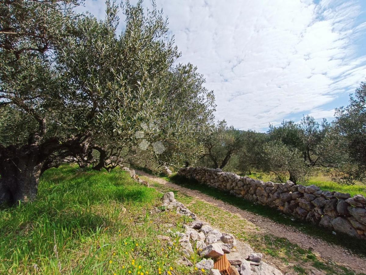 Zemljišče Marina, 4.704m2