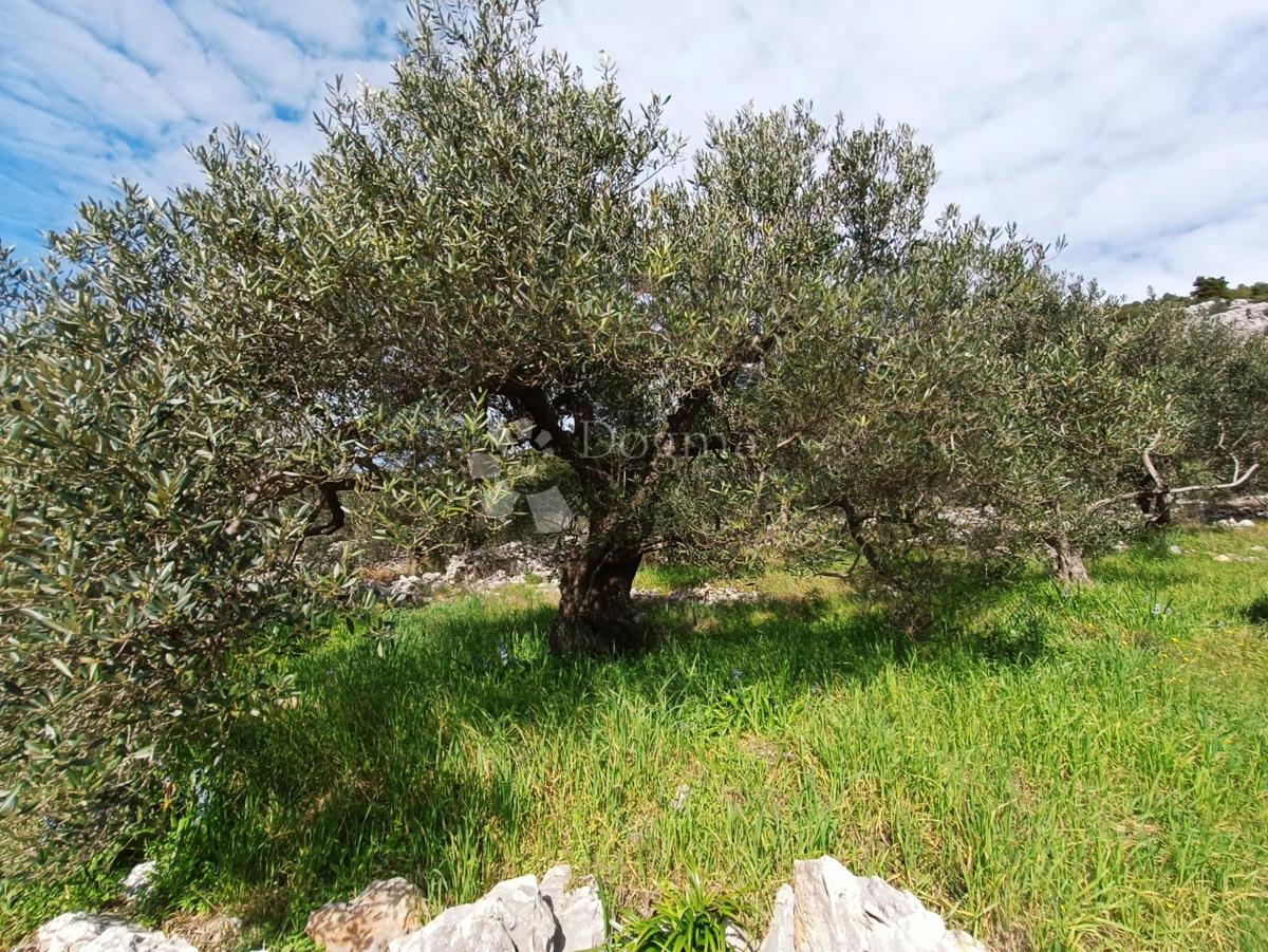 Zemljišče Marina, 4.704m2