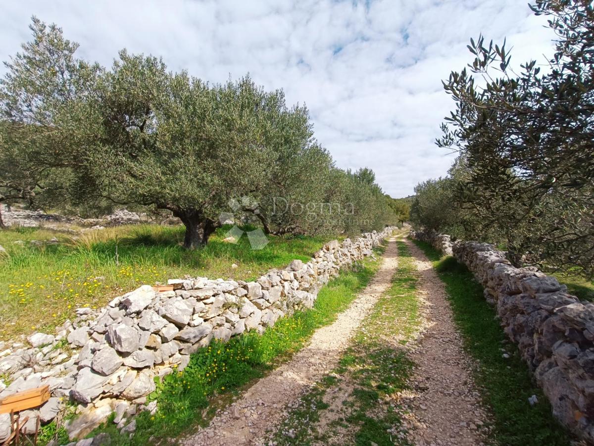 Zemljišče Marina, 4.704m2