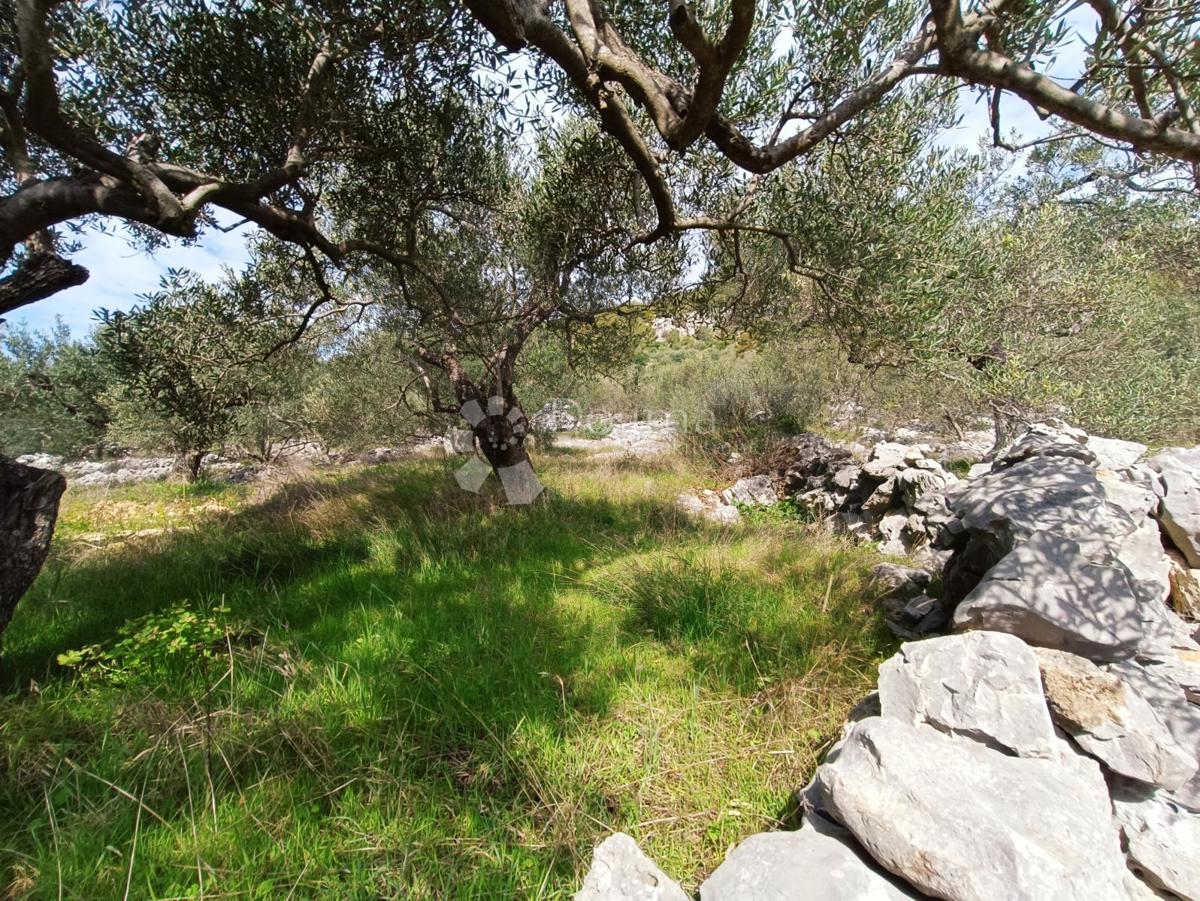 Zemljišče Marina, 4.704m2