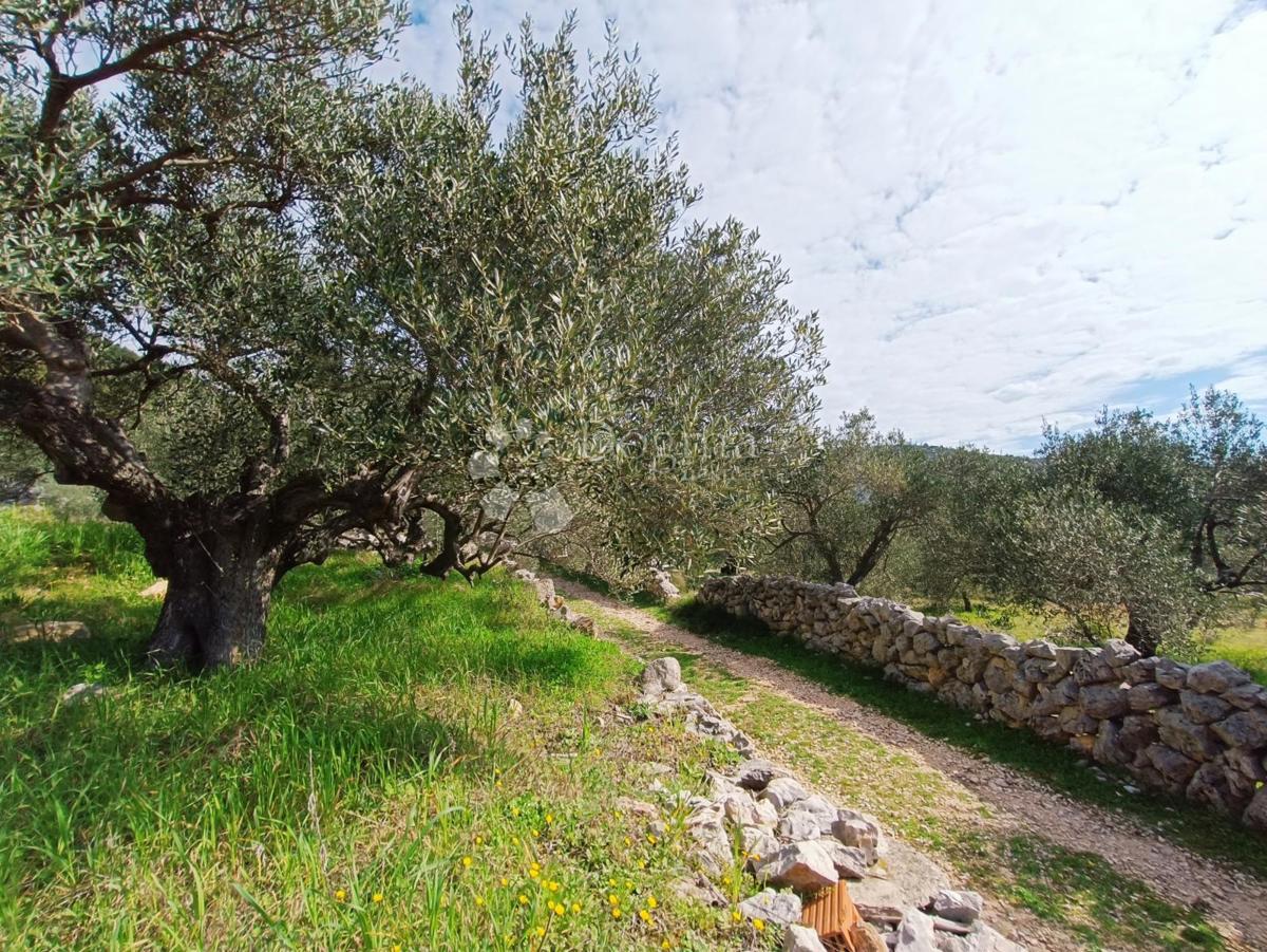 Zemljišče Marina, 4.704m2